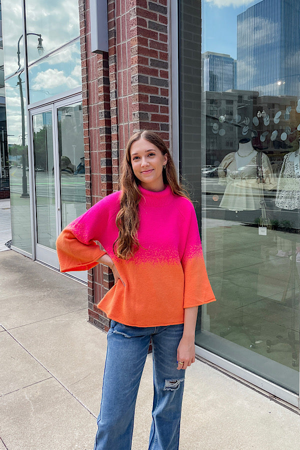 Color Block Turtle Neck Sweater