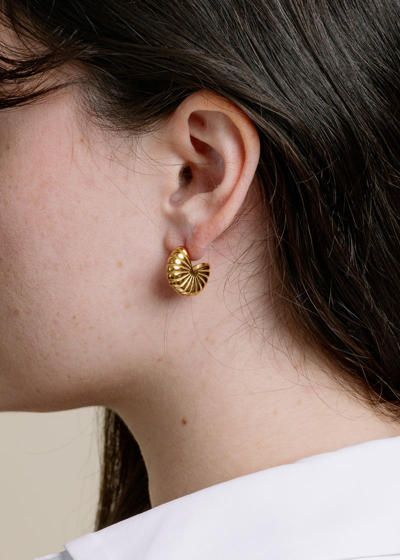 Vincent Gold Shell Earrings