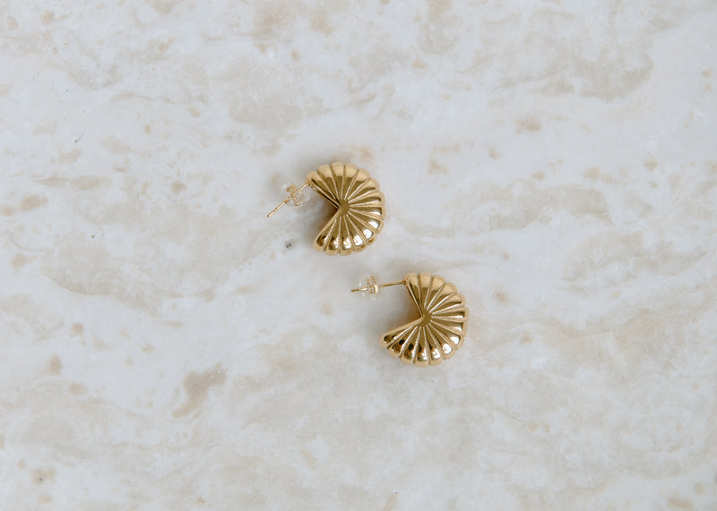 Vincent Gold Shell Earrings