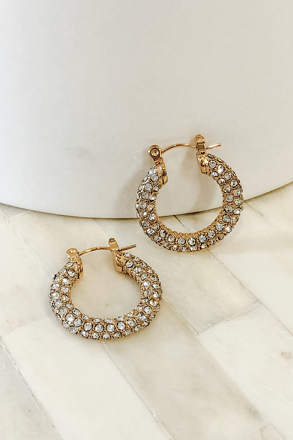 Natural Elements Gold Diamond Hoop Earrings